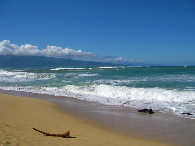 The best beaches of Maui are just minutes away.